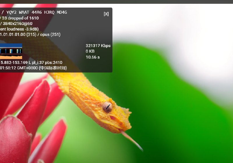 公益订阅更新了 这个速度还行 自己更新一下